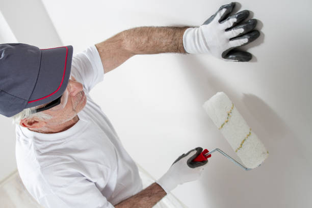 Best Wallpaper Removal and Painting  in Sedona, AZ